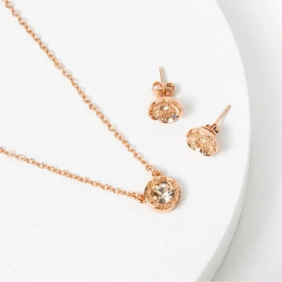 NWT Coach Rose Gold Necklace and Earrings Set - Picture 2 of 4